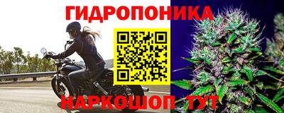 дмт Дубна