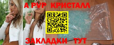 дмт Донской