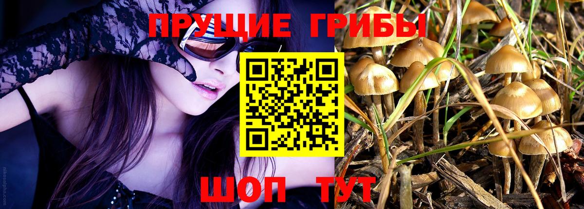 Галлюциногенные грибы мухоморы  Галлюциногенные грибы GOLDEN TEACHER  Минусинск  Вход с VPN 